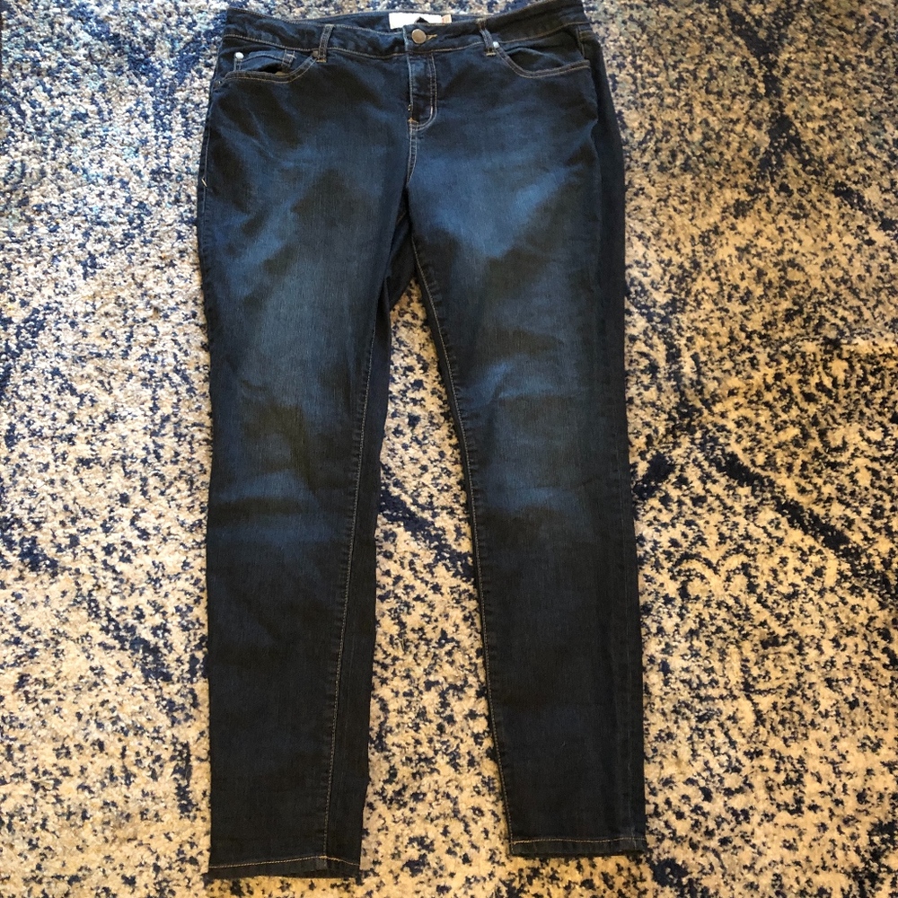 Torrid Skinny Jeans